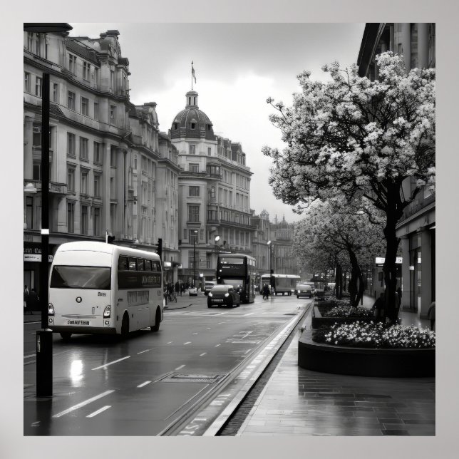 Elegant Street View Poster (Vorne)