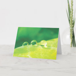 Elegant, Taubentropfen, Geschichten in Naturgedich Karte