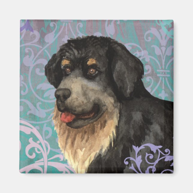 Elegant Tibetan Mastiff Magnet (Vorne)