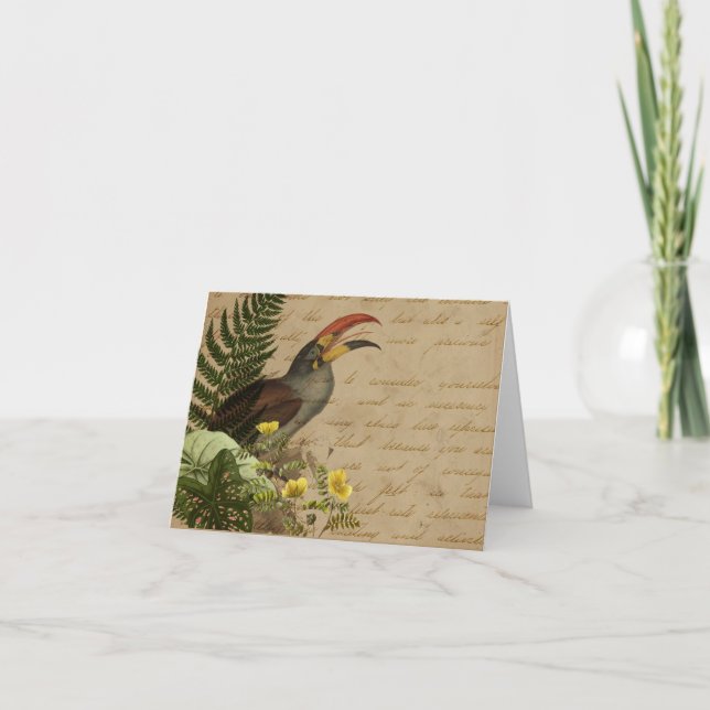 Elegant Tropical (Vorderseite)