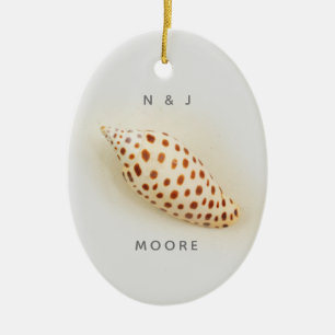 Elegant Tropical Junonia Florida Beach Shell Name Keramik Ornament