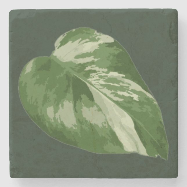 Elegant Tropical Leaf – Rare Plant Art Steinuntersetzer (Vorderseite)