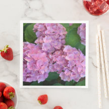 Elegant und Rustikal Hortensia Hydrangea macrophyl