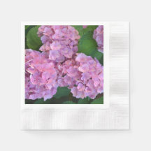 Elegant und Rustikal Hortensia Hydrangea macrophyl
