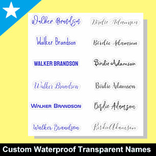 Elegant und stilvoll Namensaufkleber Aufkleber