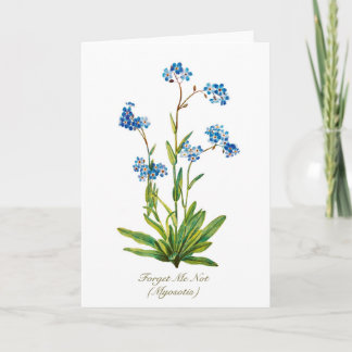 Elegant Vintage Botanical Forget Me Not Flower Feiertagskarte