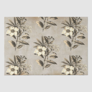 Elegant Vintage Weihnachten Rose Beige Kraft Seidenpapier