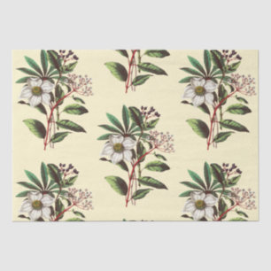 Elegant Vintage Weihnachten Rose Beige Seidenpapier