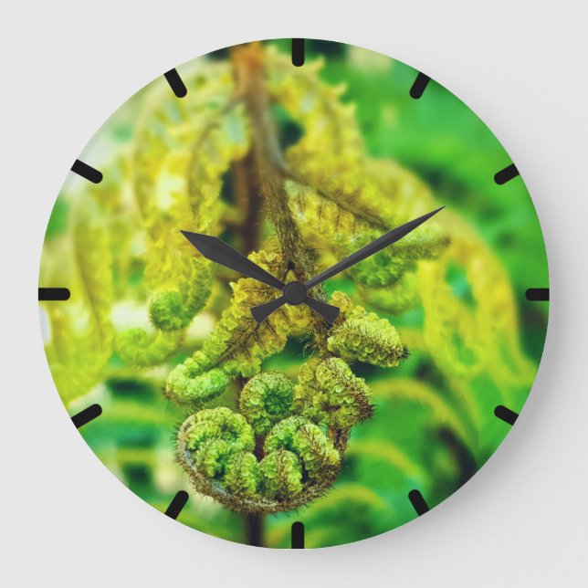 ELEGANT VIVID GREEN FERN PHOTO NEW ZEALAND KIWI GROßE WANDUHR (Vorderseite)