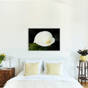 Elegant White Calla Lily Blumen Poster
