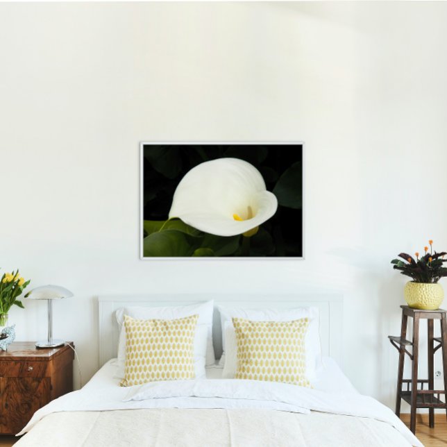 Elegant White Calla Lily Blumen Poster (In Situ)