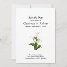 Elegant White Calla Lily