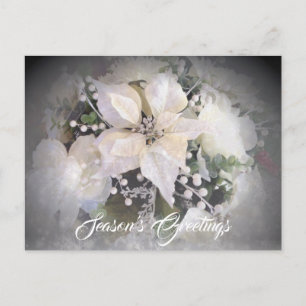 Elegant White Christmas Poinsettia Postkarte