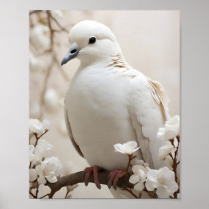 Elegant White Dove Poster