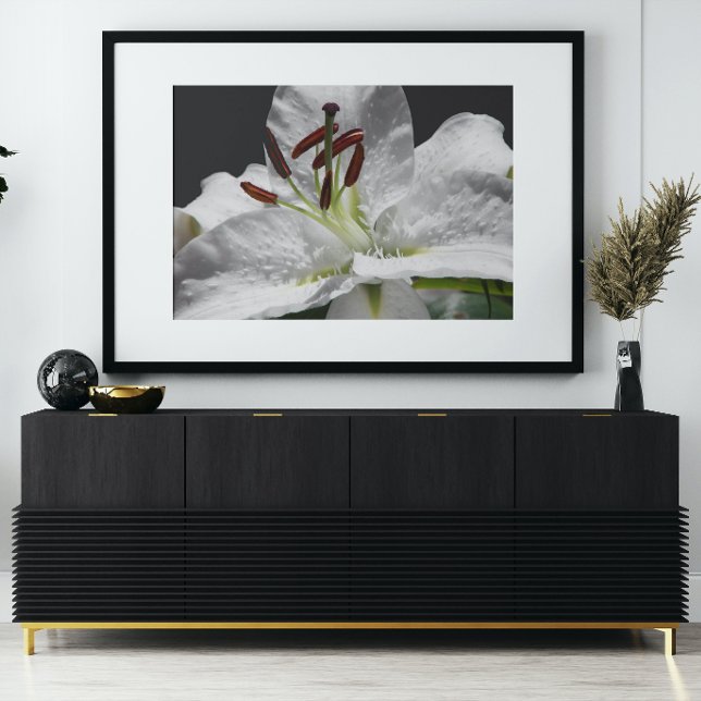 Elegant White Oriental Lily Floral Poster (In Situ)