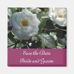Elegant White Rose Save the Date Magnet