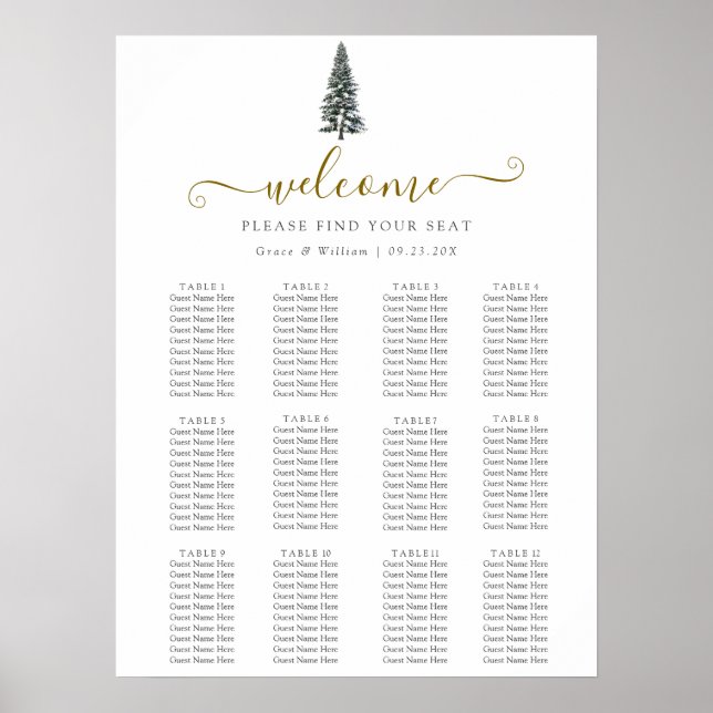 Elegant Winter Wonderland Snowboardfahren Hochzeit Poster (Vorne)