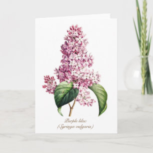 Elegante alte botanische Abbildung von lila Fliede Feiertagskarte