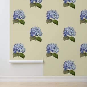 Elegante alte botanische blaue Hortensienblüte Tapete