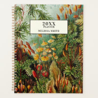Elegante antike Vintage botanische Architektur