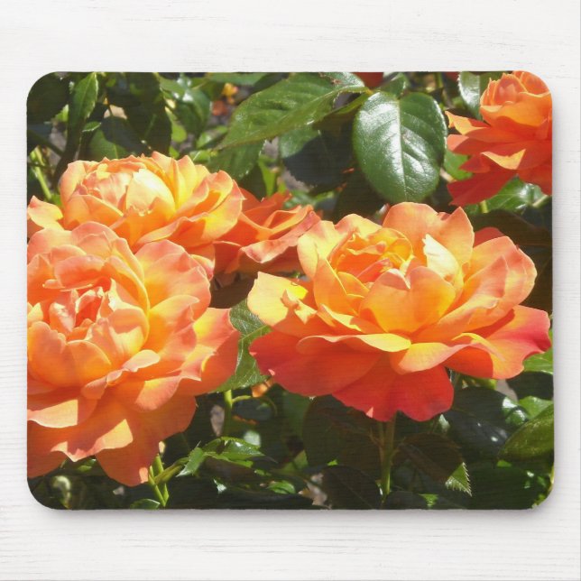 Elegante Apricot-Rose Mousepad (Vorne)