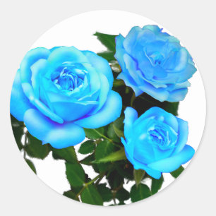 Elegante aquamarine blaue Rose Blütenblumen Runder Aufkleber