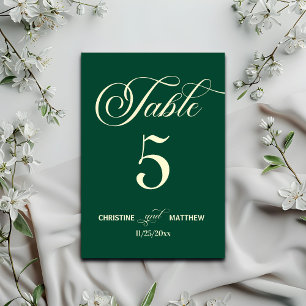 Elegante Aquamarine Hochzeit Tischnummer