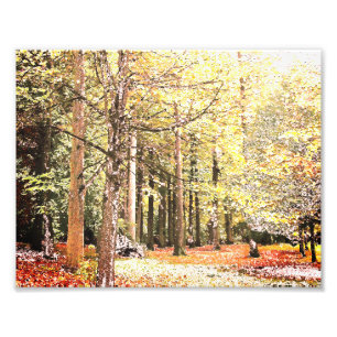 Elegante Aquarellwälder im Herbst Fotodruck