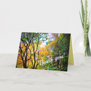 Elegante Bäume Farbige Blätter Wald Natur Dankeskarte