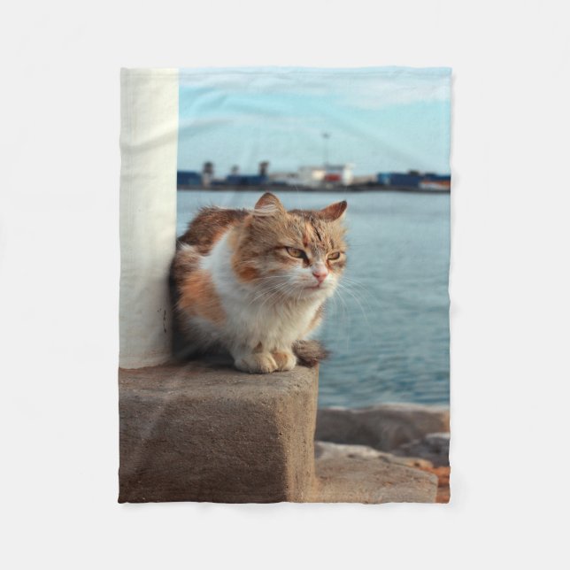 Elegante Beach Cat Fleece Blanket (Vorderseite)