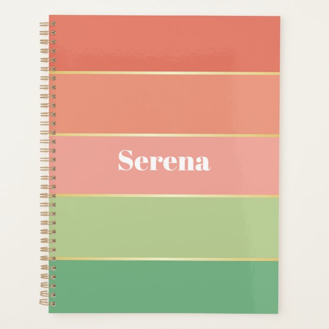elegante, benutzerdefinierte Sommerfarben Farbbloc Planer (Vorderseite)
