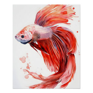 Elegante Betta Fish - Aquarellfarben Print Siamese Poster