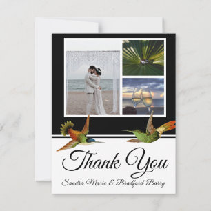 Elegante Black Hummingbird Hochzeitssammlung-Foto Dankeskarte