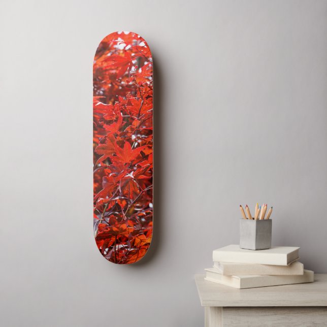 Elegante Blätter für japanisches Ahorn Skateboard (Wandkunst)
