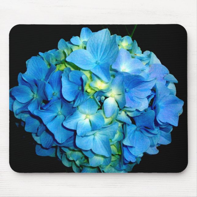Elegante blaue Blume Blumenhydrangea Mousepad (Vorne)