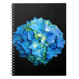 Elegante blaue Blume Blumenhydrangea Notizblock