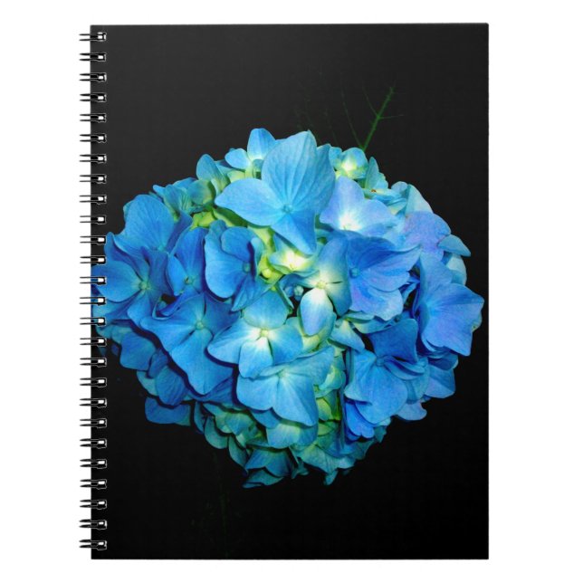Elegante blaue Blume Blumenhydrangea Notizblock (Vorderseite)