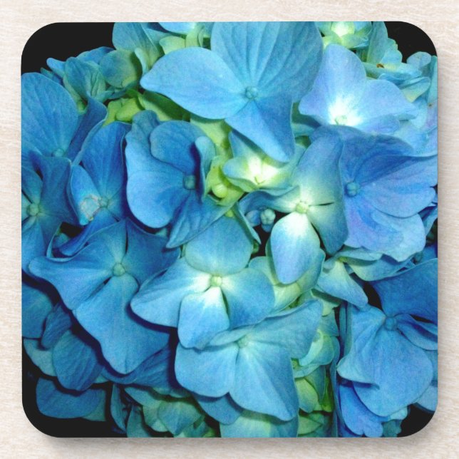 Elegante blaue Blume Blumenhydrangea Untersetzer (Vorderseite)