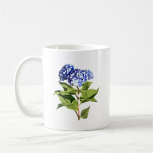 Elegante Blaue Hortensie Kaffeetasse