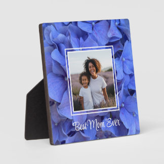 Elegante blaue Immergrün-Blüten-Hortensien Fotoplatte