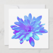 Elegante, blaue lila Blume