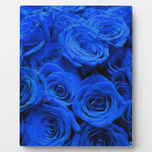 Elegante blaue Rosen blaue Blumen blaues Floral Fotoplatte