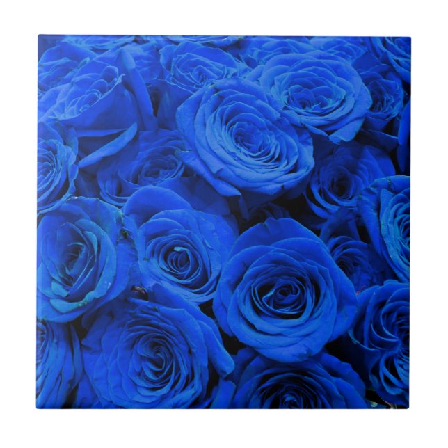 Elegante blaue Rosen blaue Blumen blaues Florales Fliese (Vorderseite)