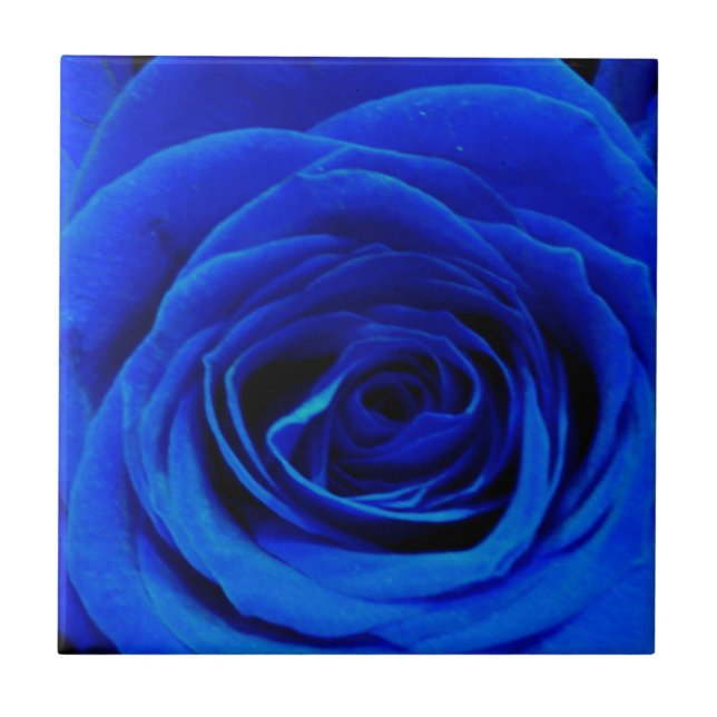 Elegante blaue Rosen blaue Blumen blaues Florales Fliese (Vorderseite)