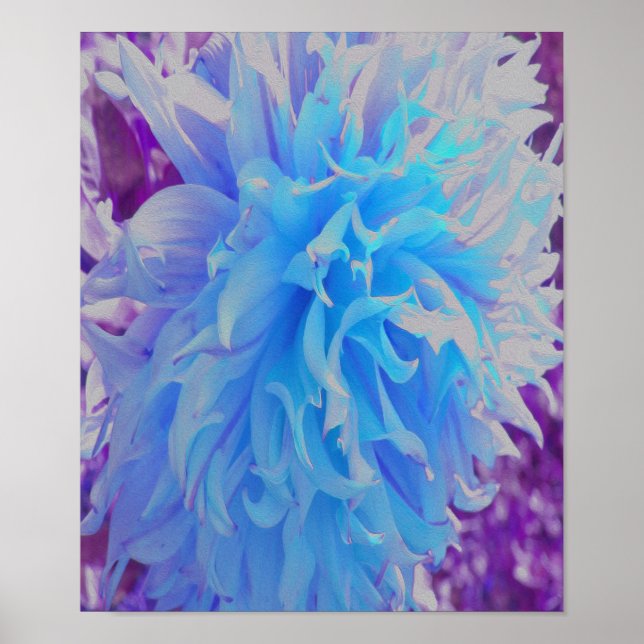 Elegante Blue Decorative Dahlia Blume Poster (Vorne)