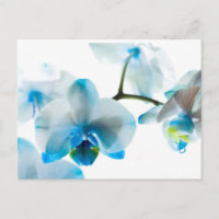 Elegante Blue Orchids Custom