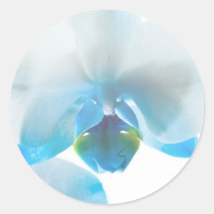 Elegante Blue Orchids Custom Stickers