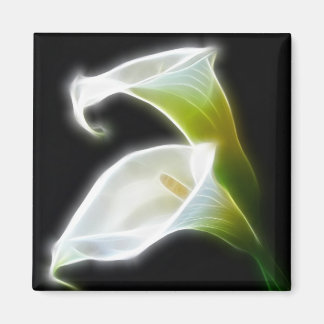 Elegante Blume Calla Lily 8 Moderne Magnet