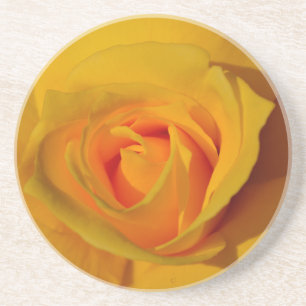 Elegante Blume Gelb Rose Getränkeuntersetzer