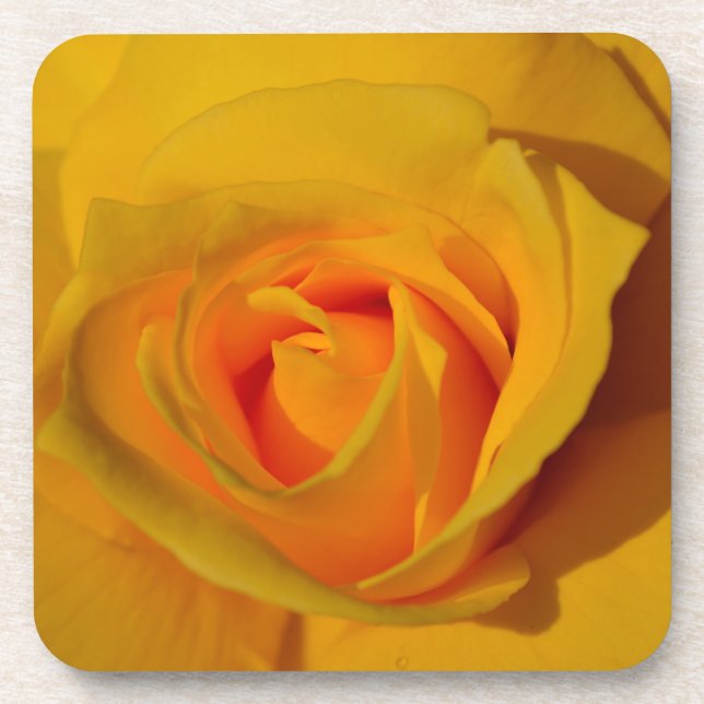 Elegante Blume Gelb Rose Getränkeuntersetzer (Vorderseite)